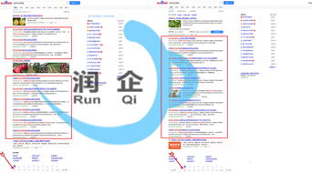 平頂山網(wǎng)絡(luò)公司中的技術(shù)領(lǐng)航者 探索潤(rùn)企網(wǎng)絡(luò)科技的SEO與網(wǎng)絡(luò)技術(shù)服務(wù)
